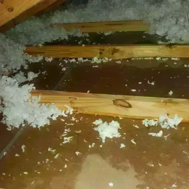 Attic Water Damage in Kendall Green, FL