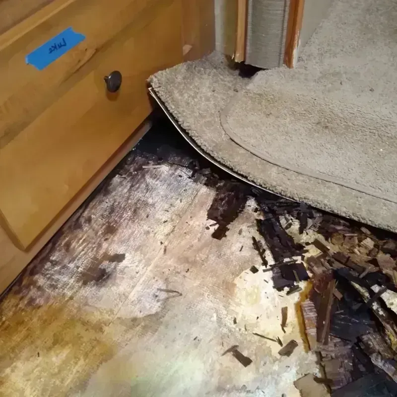 Best Wood Floor Water Damage Service in Kendall Green, FL